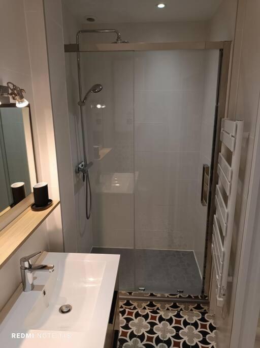 Appartement En Centre-ville Bayonne